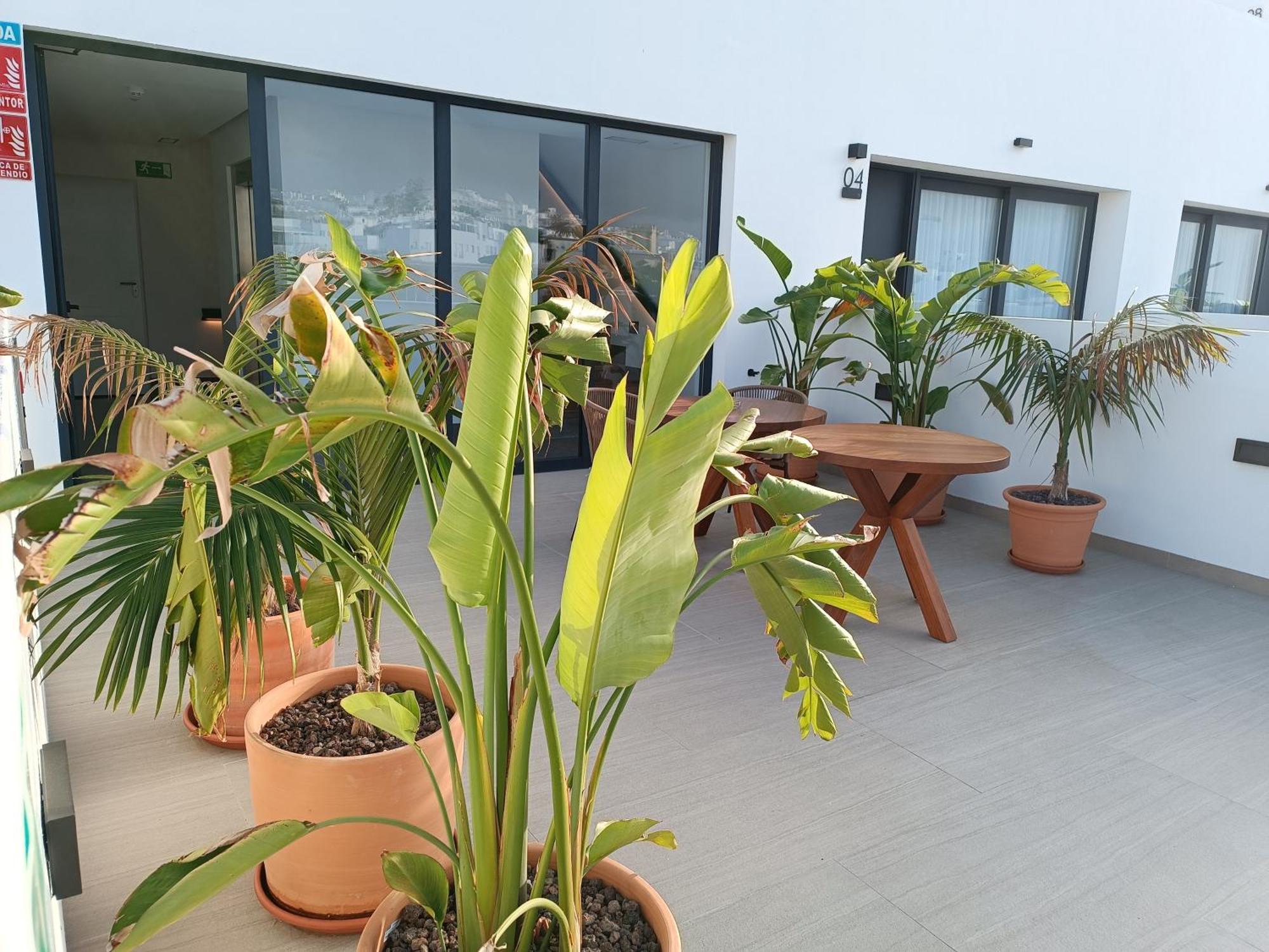 Hotel Apartamentos Hamus Conil De La Frontera Zewnętrze zdjęcie